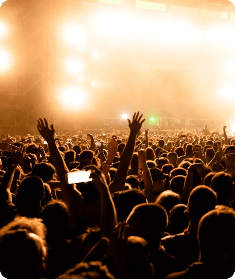 crowd at music show